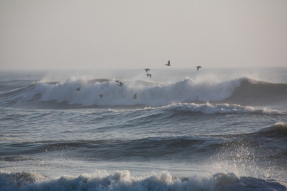 Pelican Wave Runners