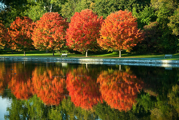 Autumn Reflections