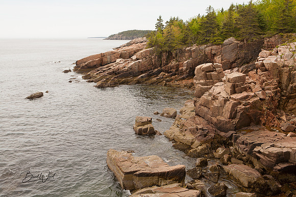 Maine coastline in Acadia National Park